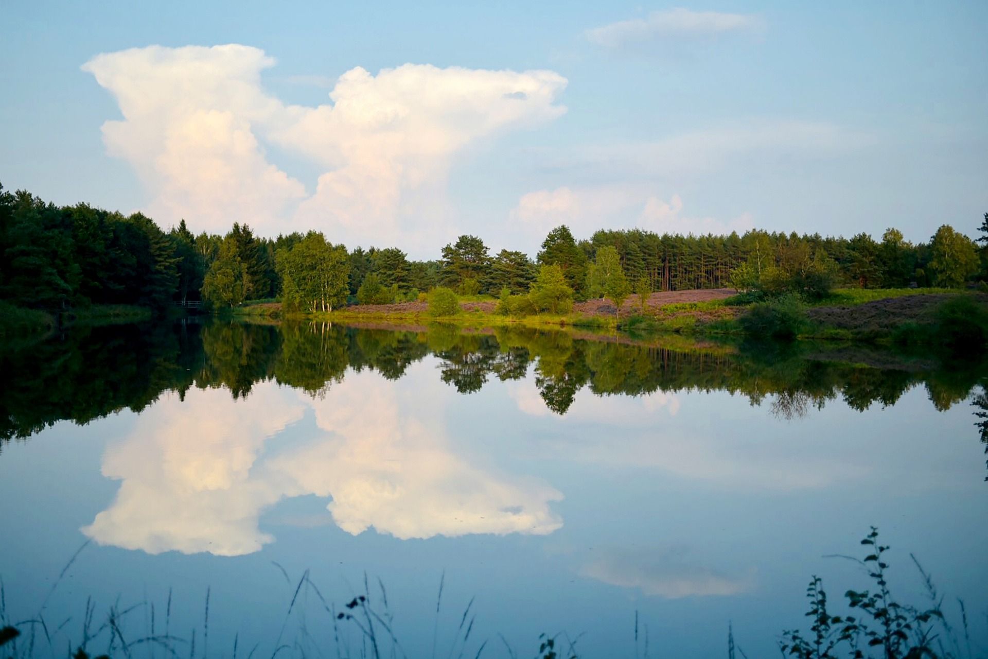Buchholz in der Nordheide, Landschaftsimpression